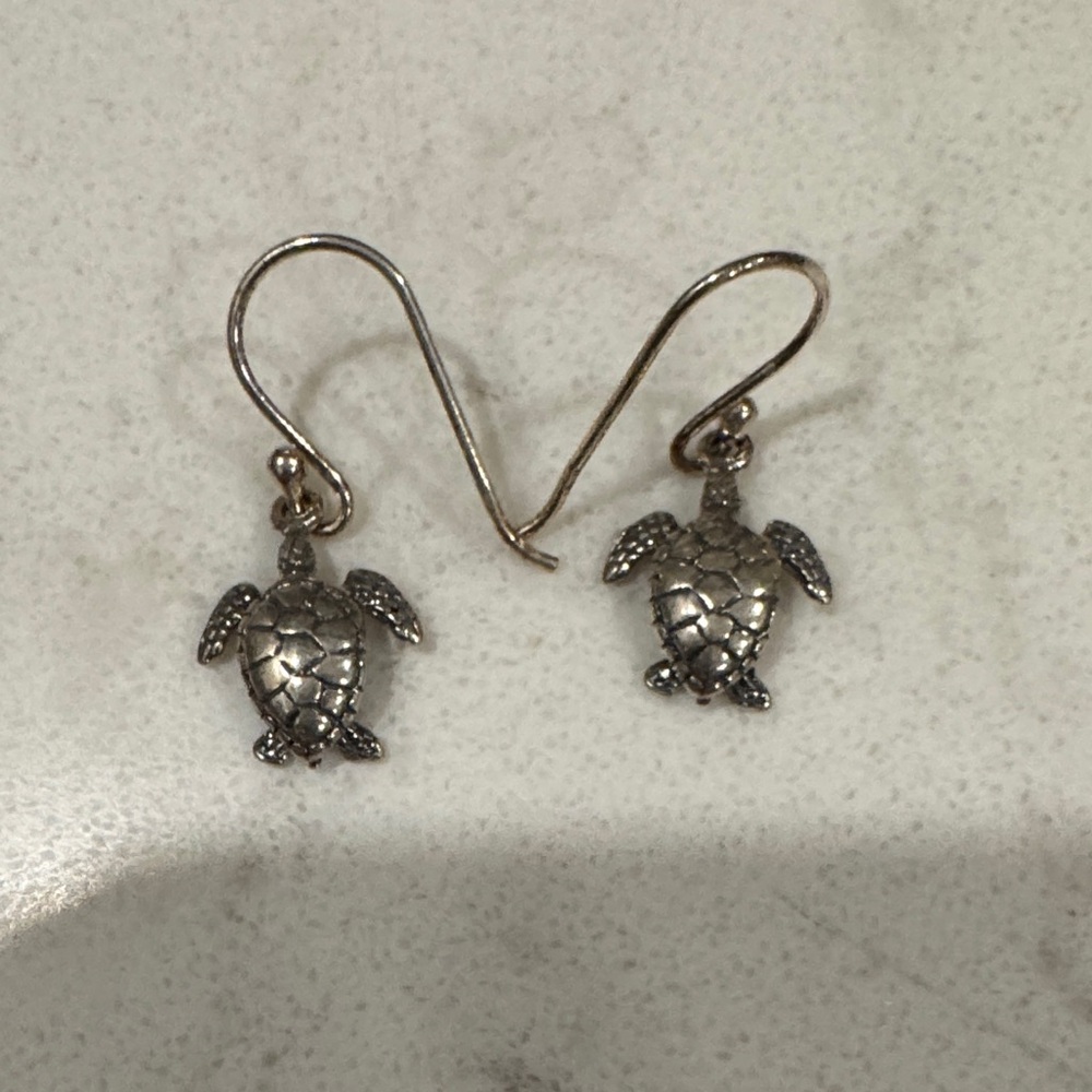 Silver Turtle Earrings